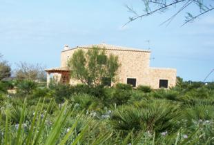 MALLORCA - Finca - Finca Palmino I - Alcudia