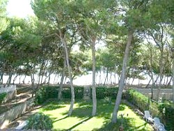 MALLORCA - Chalet - Villa Veta - Alcudia