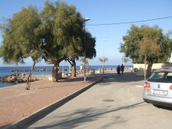 MALLORCA - Ferienwohnung - Fewo Rita - Alcudia