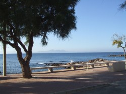 MALLORCA - Ferienwohnung - Fewo Rita - Alcudia