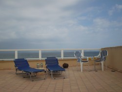 MALLORCA - Ferienwohnung - Fewo Rita - Alcudia