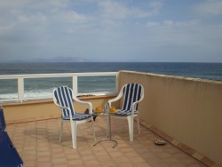 MALLORCA - Ferienwohnung - Fewo Rita - Alcudia