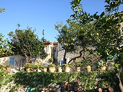 MALLORCA - Finca - Finca Paquita II - Deià / Valldemossa