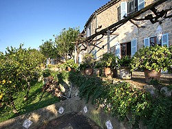 MALLORCA - Finca - Finca Paquita II - Deià / Valldemossa