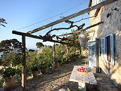 MALLORCA - Finca - Finca Paquita II - Deià / Valldemossa