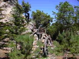 MALLORCA - Ferienwohnung - Aparthotel El Encinar - Finca Landhotels Hostals