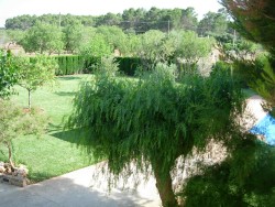 MALLORCA - Finca - Finca Son Rosignol I - Selva / Algaida / Sineu