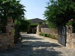 MALLORCA - Finca - Finca Son Rosignol I - Selva / Algaida / Sineu