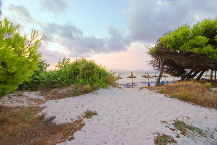 Bucht von Alcudia - Charakteristisch für diesen Abschnitt an der Nordküste Mallorcas sind die kilometerlangen Sandstrände, die sich von Alcudia über Playa de Muro und Son Serra de Marina bis hin nach Colonia Sant Pere erstrecken.
Die Bucht von Alcudia mit dem endlosen Sandstrand ist wie geschaffen für lange Spaziergänge.