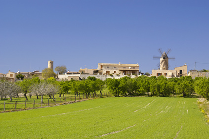 Zentral-Mallorca - Hier findet auch der einzige Viehmarkt der Insel statt.
Die alte um 1248 erbaute Pfarrkirche   bildet den Mittelpunkt des Stätchens. Diese Kirche wurde 1998 umfangreich renoviert. Im Inneren findet man besondere Kirchenschätze wie z.B. das Retabel (15 Mysterien 17.Jh.), eine kostbare silberne Monstranz aus dem 15. Jh. und eine von Engeln bewachte Virgen muerta.