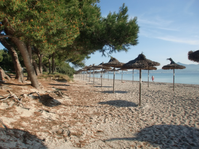 Can Picafort / Playa Muro -