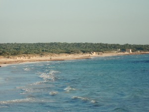 fkk villingen fkk finca mallorca fkk villingen fkk finca mallorca