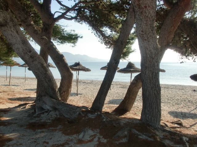 Buchen Sie eine Finca auf Mallorca - Romantische Perle des Mittelmeers -
