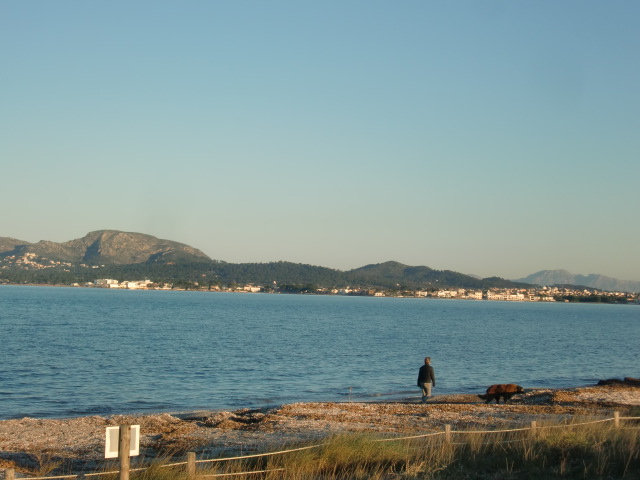 Pollenca -  Port de Pollenca - Cala Sant Vicenc - Viele Fincas mit Pool liegen nur wenige Meter vom Strand entfernt.