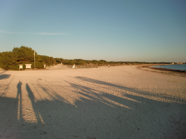 Es Trenc Region - Unmittelbar an dem Yachthafen angrenzend befindet sich der weitläufige schöne Strand