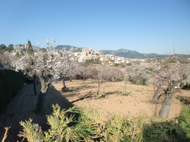Zentral-Mallorca - Sehr reizvoll sind die vielen kleinen Bergdörfer wie z.B.  Selva, Costitx oder Sencelles . Sie zeigen noch den typisch mallorquinischen Lebensstil.