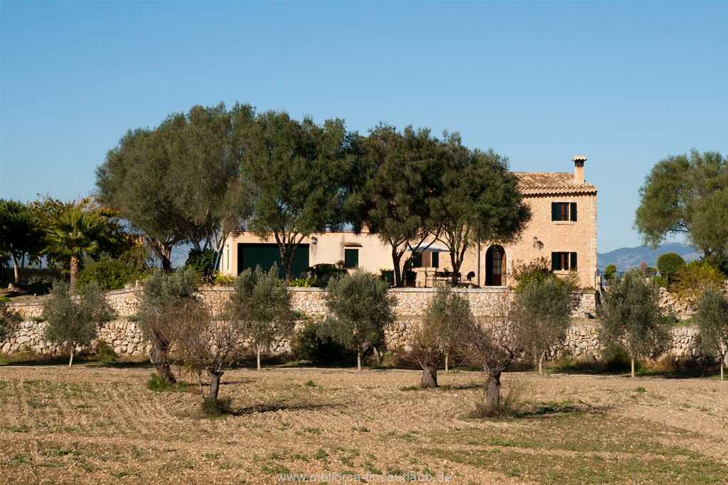 Foto der Wohnung MAL-26-088-01-finca-victor-santa-margalida-ansicht7.jpg Foto der Wohnung MAL-26-088-01-finca-victor-santa-margalida-ansicht7.jpg