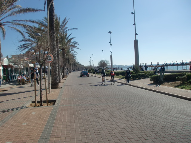 plaadepalma1.jpg